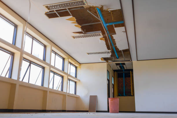 Best Water damage restoration near me  in Vernon, WI