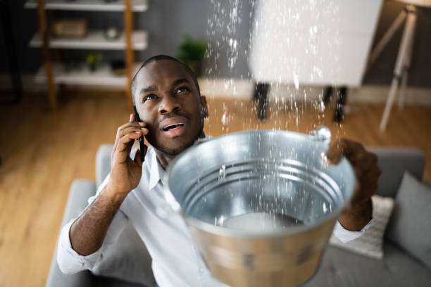 Best Flood restoration services  in Vernon, WI