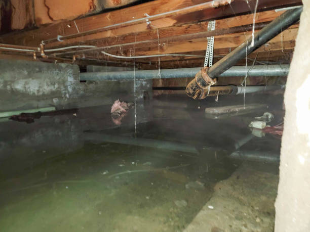 Water damage restoration experts in Vernon, WI