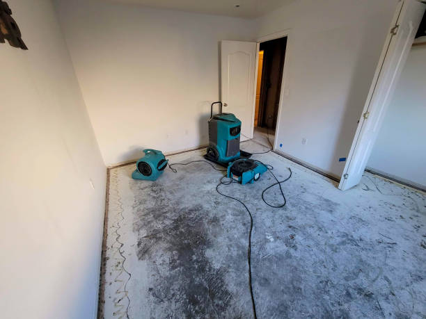 Best Basement water damage restoration  in Vernon, WI