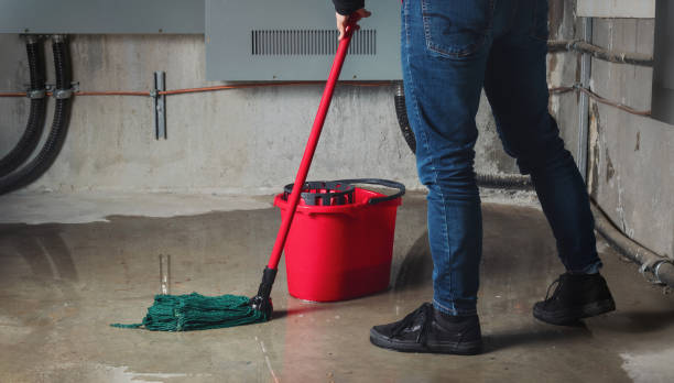 Best Local water damage restoration  in Vernon, WI