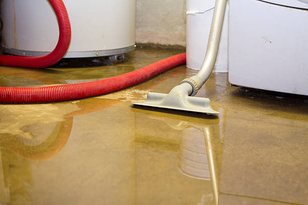 Best Flooded house restoration  in Vernon, WI