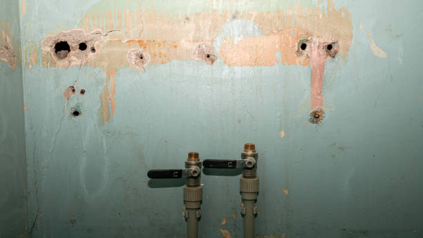 Best Fire Damage Restoration  in Vernon, WI