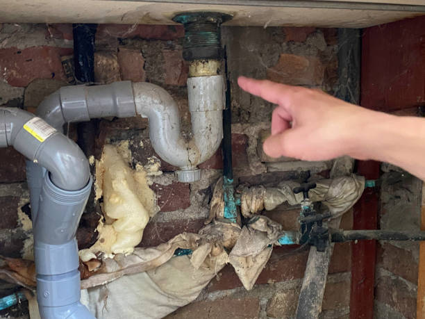 Carpet water damage restoration in Vernon, WI